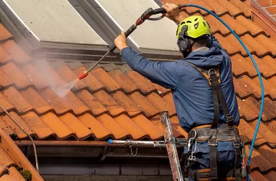 Démoussage et hydrofuge de toiture à Meillon